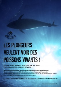 plongeur_voir_poissons_vivants_1000