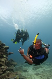 PADI Open Water diving Lanzarote