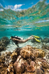 Open Water Diver Lanzarote