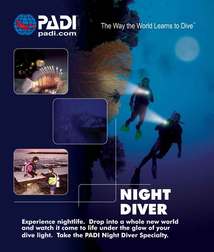 night diver